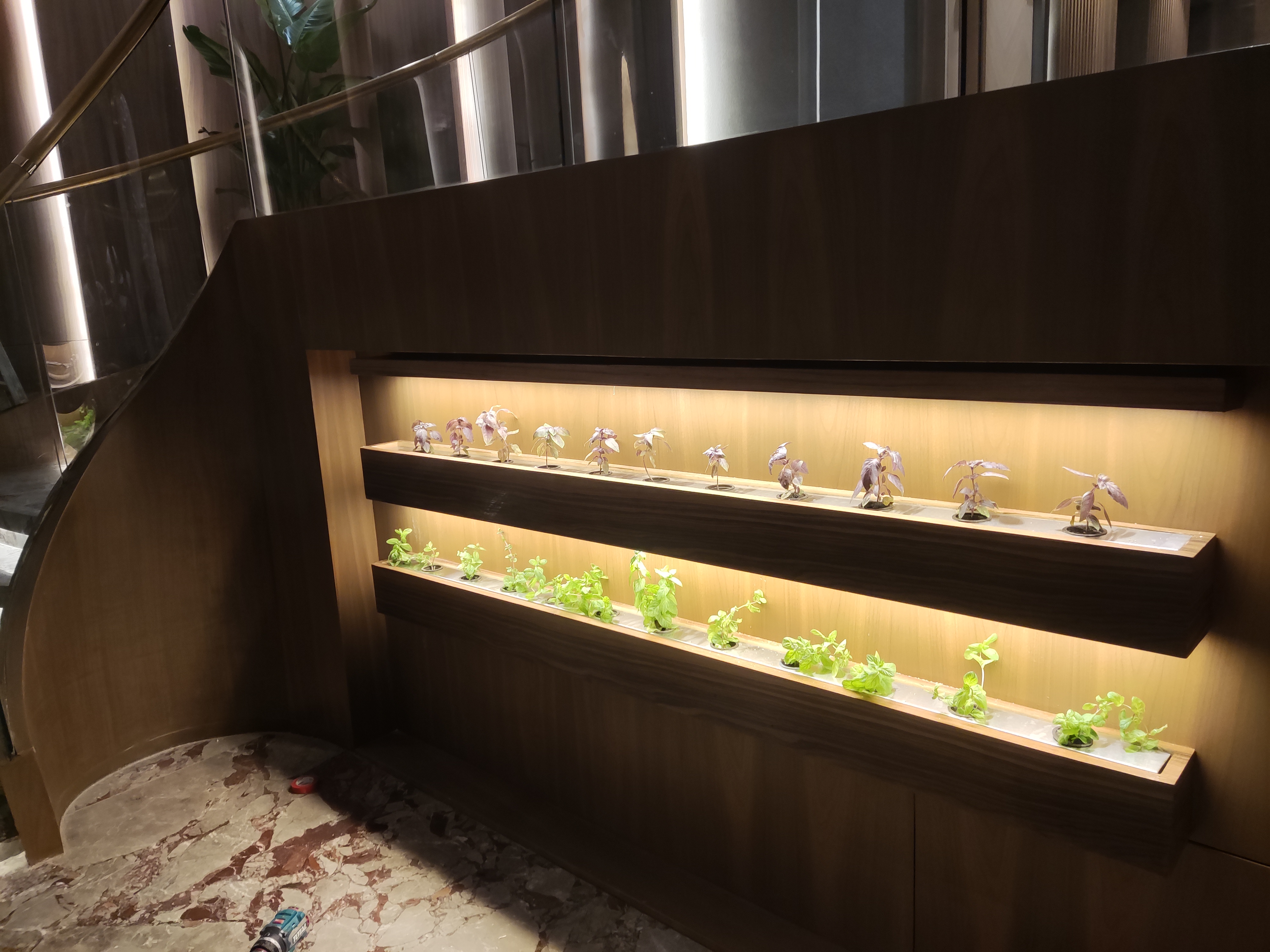 Bloom Line indoor vertical farming installation